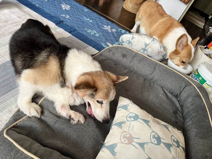 おはようございます。 