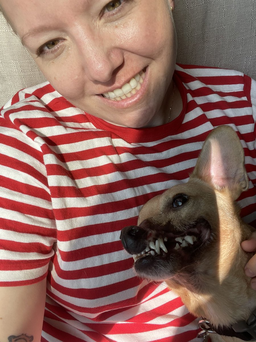 Vying for the sunshine