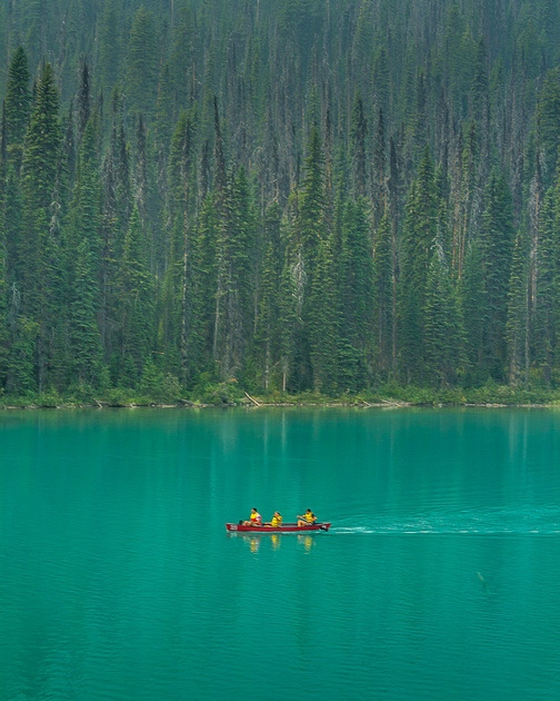 cmroachphotos's tweet photo. It's National All or Nothing Day - where people push themselves out of their comfort zone. Since 2021 I've started this website AND taken up kayaking. Enjoy this #TopPhotoTuesday & a sneak peek for the #FridayPhotoBlog this week!
See the picture here:
https://t.co/QvkIXaePdq https://t.co/bXJojToUUl