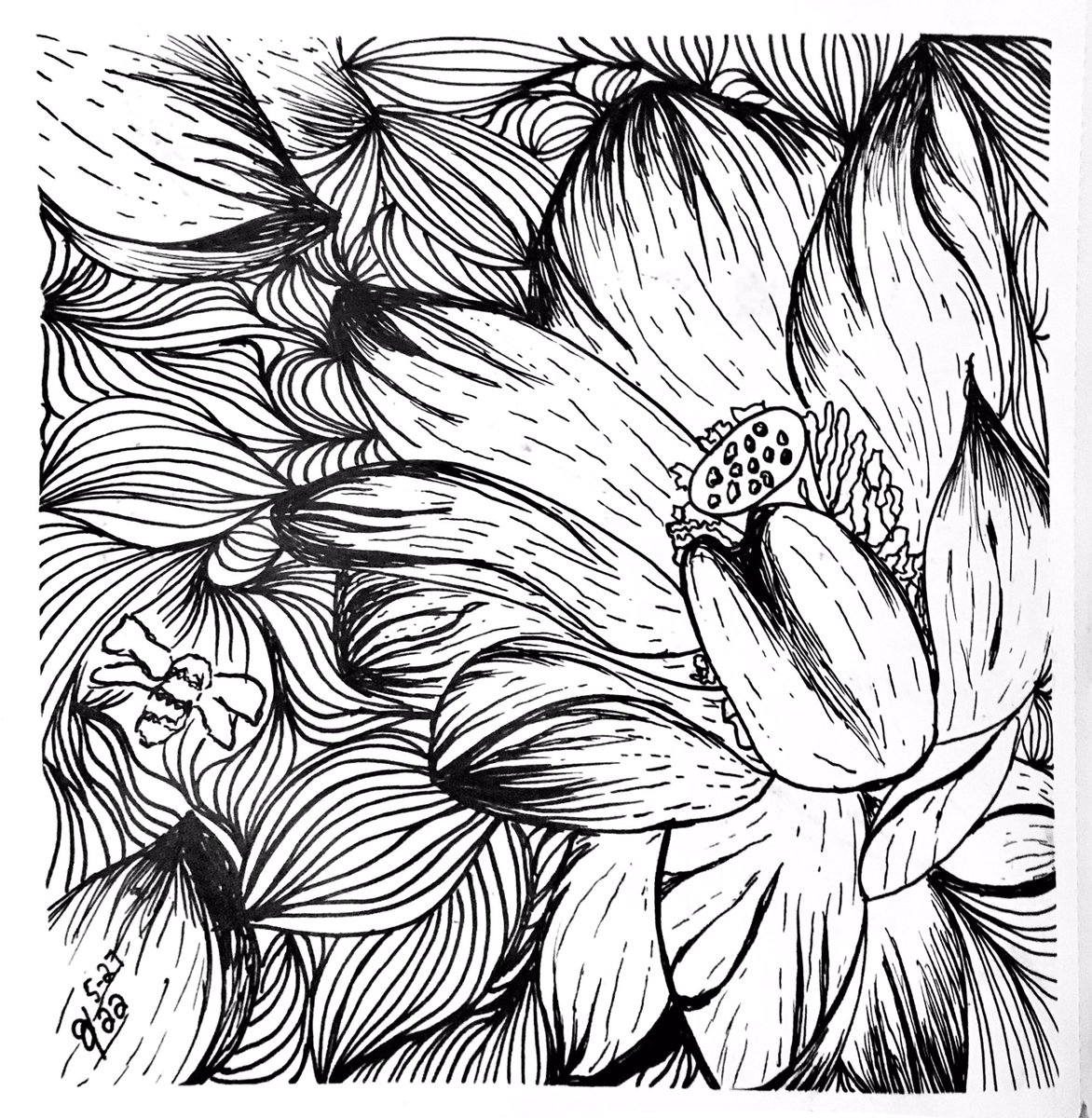 16percentpower2's tweet photo. I know that if I want to really put myself (my art) out there to be noticed I should post regularly. I will keep trying. #art #ArtistOnTwitter #lineart #floralart #floral #flower #bee #nature https://t.co/VjZ8pJHgDi