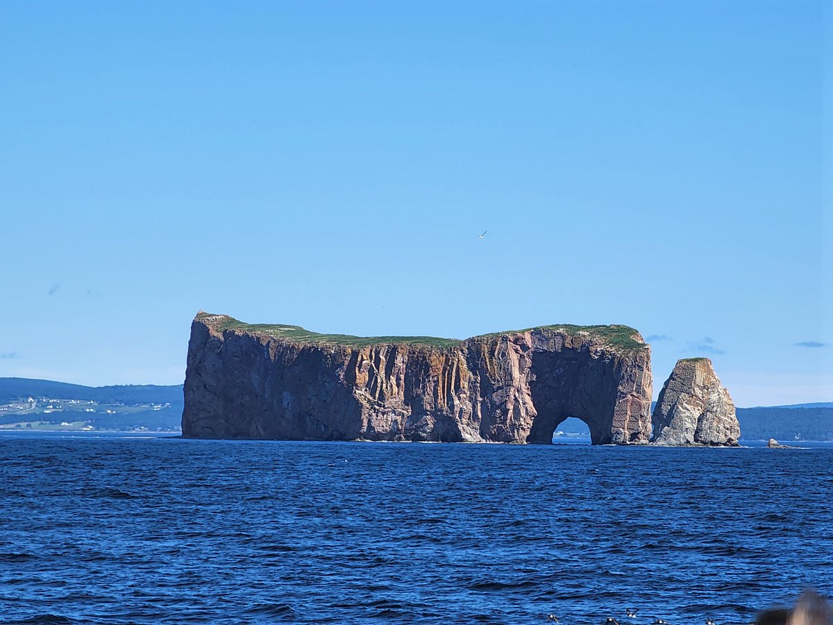 Jasperlaw1's tweet photo. If you're coming to the Gaspésie, you have to check out the majestic Percé Rock and the massive Northern gannet colony on Ile-Bonaventure. The travel guides don't do Percé Rock justice. All 4.5 million years old of it really must be seen up close IRL. #Quebec #summervacation https://t.co/R7eMSFlkhv