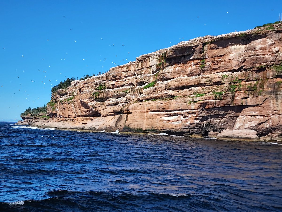 Jasperlaw1's tweet photo. If you're coming to the Gaspésie, you have to check out the majestic Percé Rock and the massive Northern gannet colony on Ile-Bonaventure. The travel guides don't do Percé Rock justice. All 4.5 million years old of it really must be seen up close IRL. #Quebec #summervacation https://t.co/R7eMSFlkhv