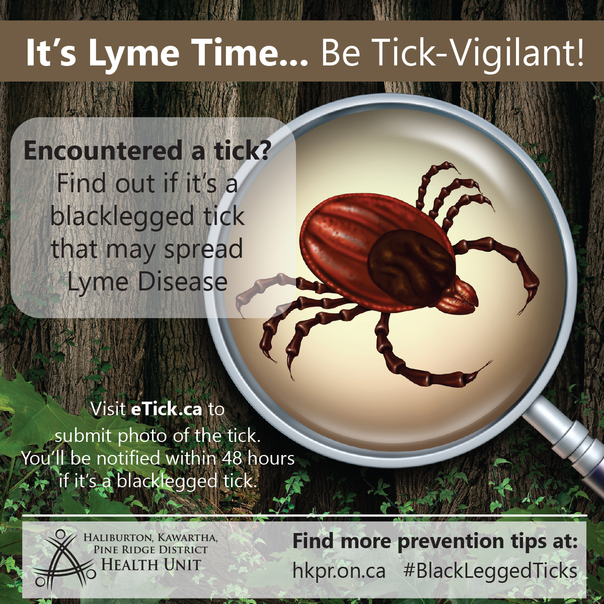 HKPRDHU's tweet image. Big things come in small packages.
Big thing: Lyme Disease.
Small package: Black-legged tick.
Stay tick-vigilant this summer, HKPR District: bit.ly/3OdqLOj #BlackLeggedTicks