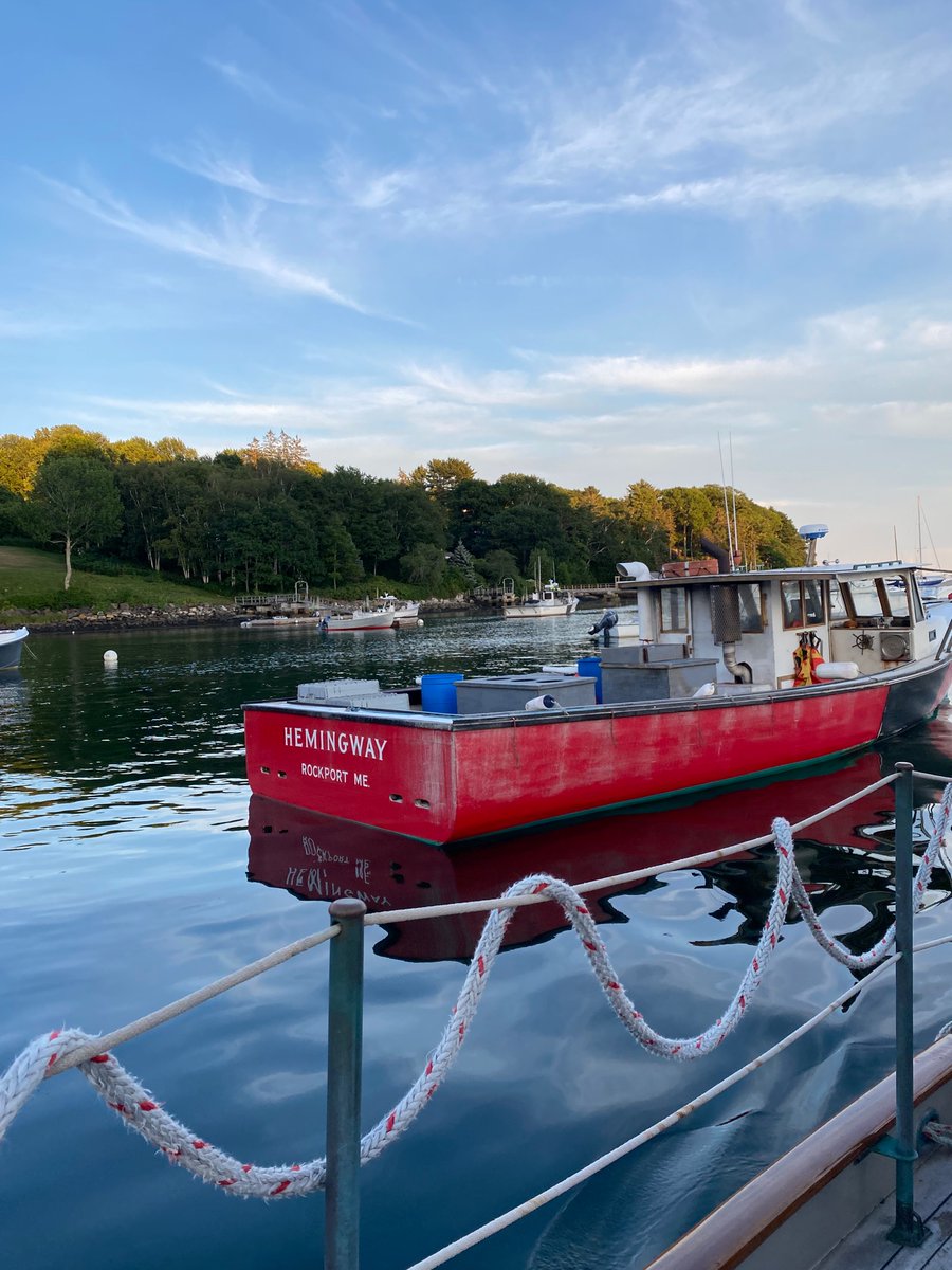 Lauren Groff tweet media