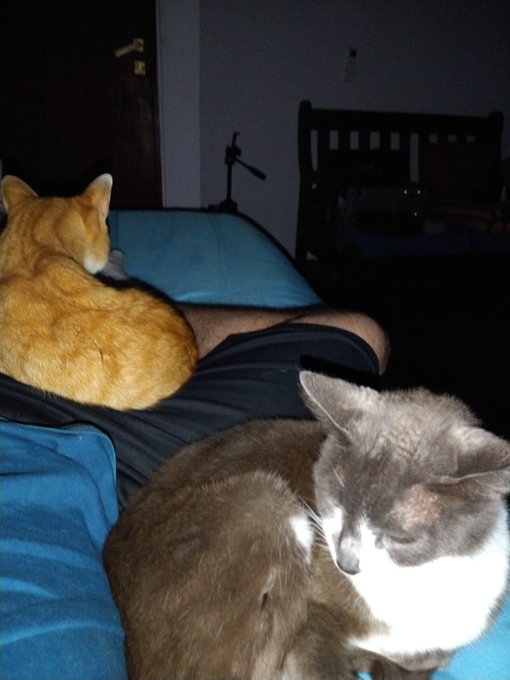 Literalmente duermo asi toda la noche sin moverme jsjs https://t.co/Mrf2ILaaHe