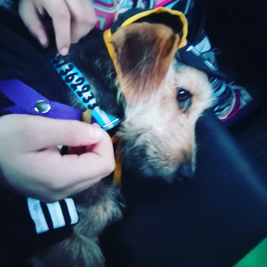 majosanjuas's tweet photo. Tuvimos el honor de que nos lleven a nuestro @cultural1420 el hermoso de #Mikito y su papá Rubén, es un ferviente defensor del #DerechoAnimal y nos dieron el mejor viaje en #taxi y la lección + hermosa de amor y lucha.
Gracias por cruzarse en nuestro día.#adopatanocompres 
#CABA https://t.co/YCmYjBvWfV