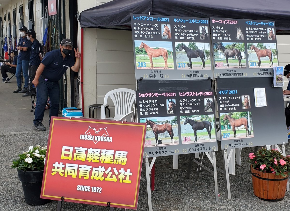 キンショーユキヒメ2021は松本好雄様に御購買いただきました✨
ありがとうございました🙇