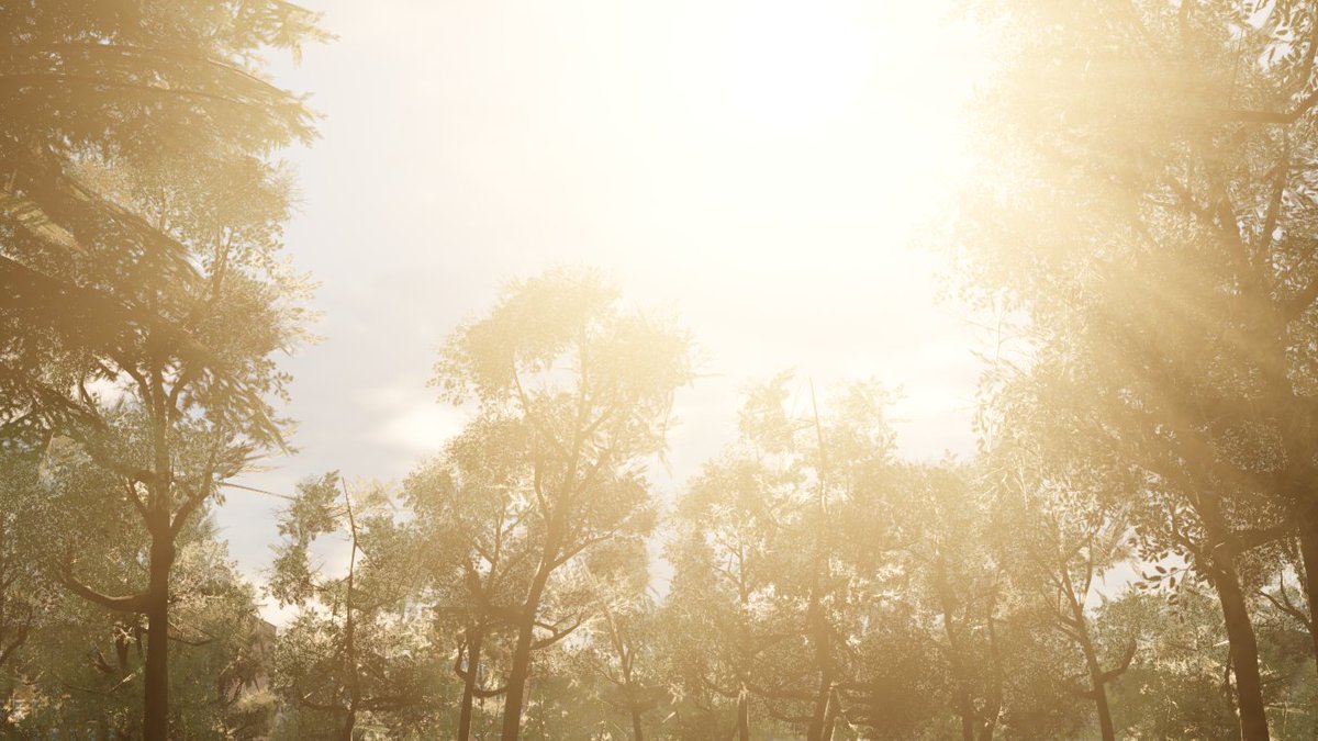 TakeoverRB's tweet photo. Enjoying the view here off road in Takeover.

#Roblox #RobloxDev https://t.co/lg5xOCGtE6