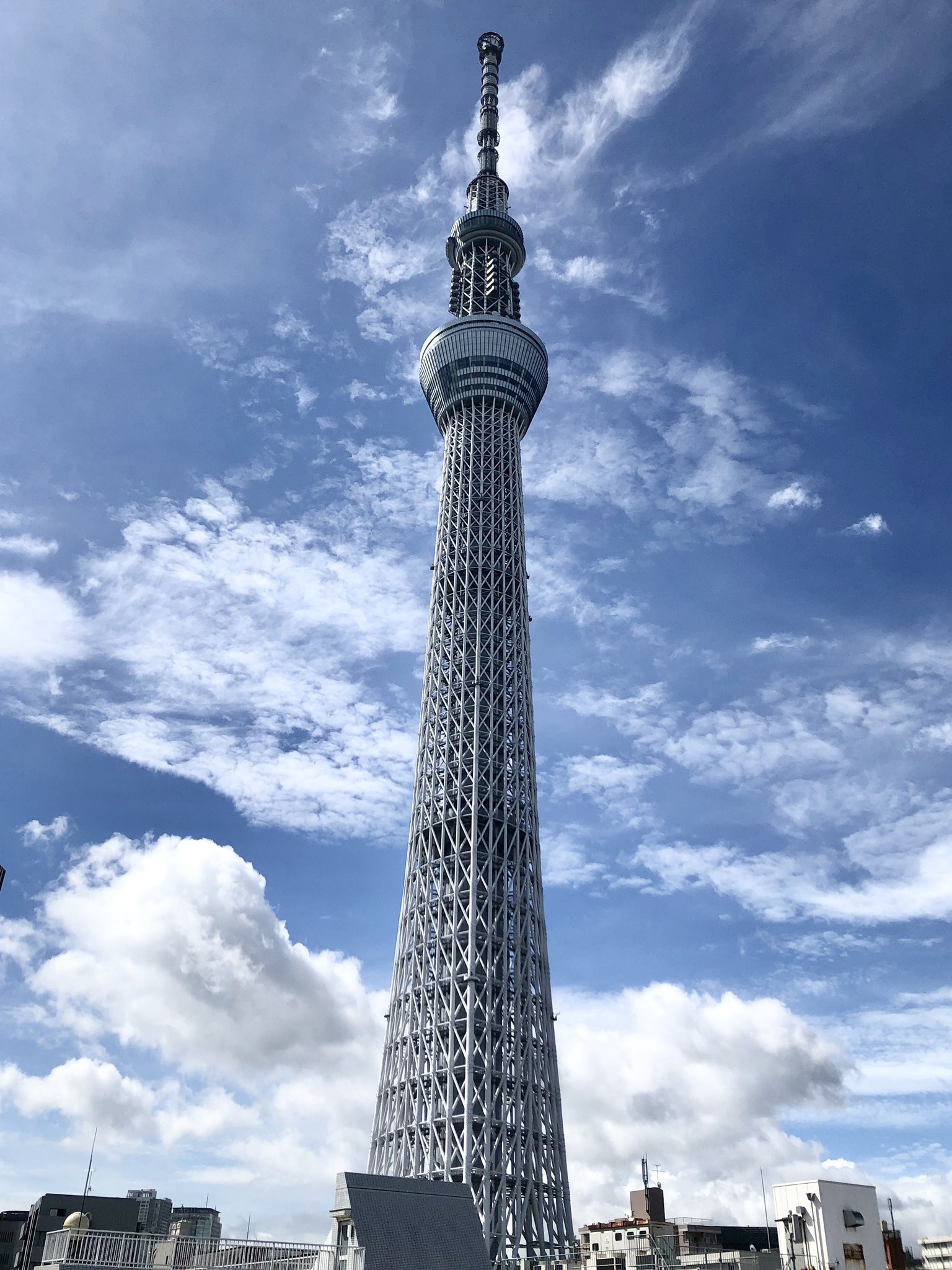 株式会社企画制作 公式 おは 企 画 スイカの日 企業公式が毎朝地元の天気を言い合う スカイツリーの天気を毎日お届け 企業公式夏のフォロー祭り 墨田twitter会 T