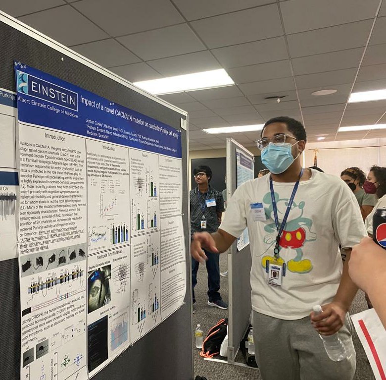 Heather Snell, PhD (@heatherdsnell) on Twitter photo Hey <a href="/BlackInNeuro/">Black In Neuro 🧠</a>! My amazing HS summer student presented his work today at <a href="/EinsteinMed/">Albert Einstein College of Medicine - Official</a> summer poster session!! He worked SO HARD learning extracellular electrophysiology AND how to program in python to analyze his data! I'm so proud!The future is BRIGHT! #BlackInNeuro Hey <a href="/BlackInNeuro/">Black In Neuro 🧠</a>! My amazing HS summer student presented his work today at <a href="/EinsteinMed/">Albert Einstein College of Medicine - Official</a> summer poster session!! He worked SO HARD learning extracellular electrophysiology AND how to program in python to analyze his data! I'm so proud!The future is BRIGHT! #BlackInNeuro