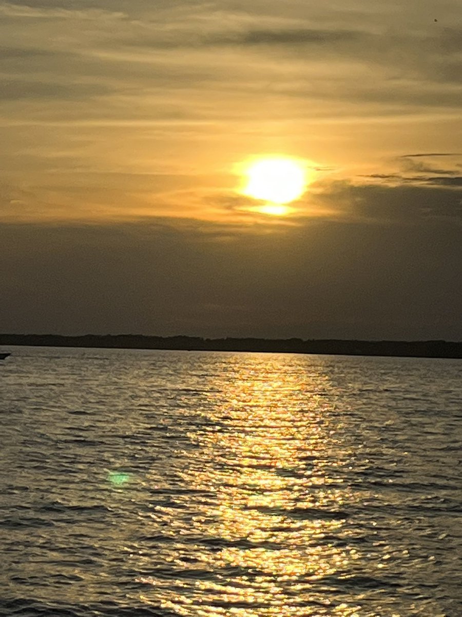MattKimak's tweet photo. “Taking time to smell the roses” spending a beautiful summer evening cruising and watching Purple Martins gather on Lake Murray SC https://t.co/1EA6Eyx980