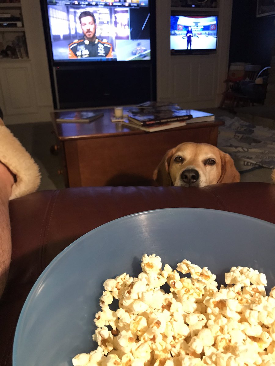 Jason D. Morgan tweet media