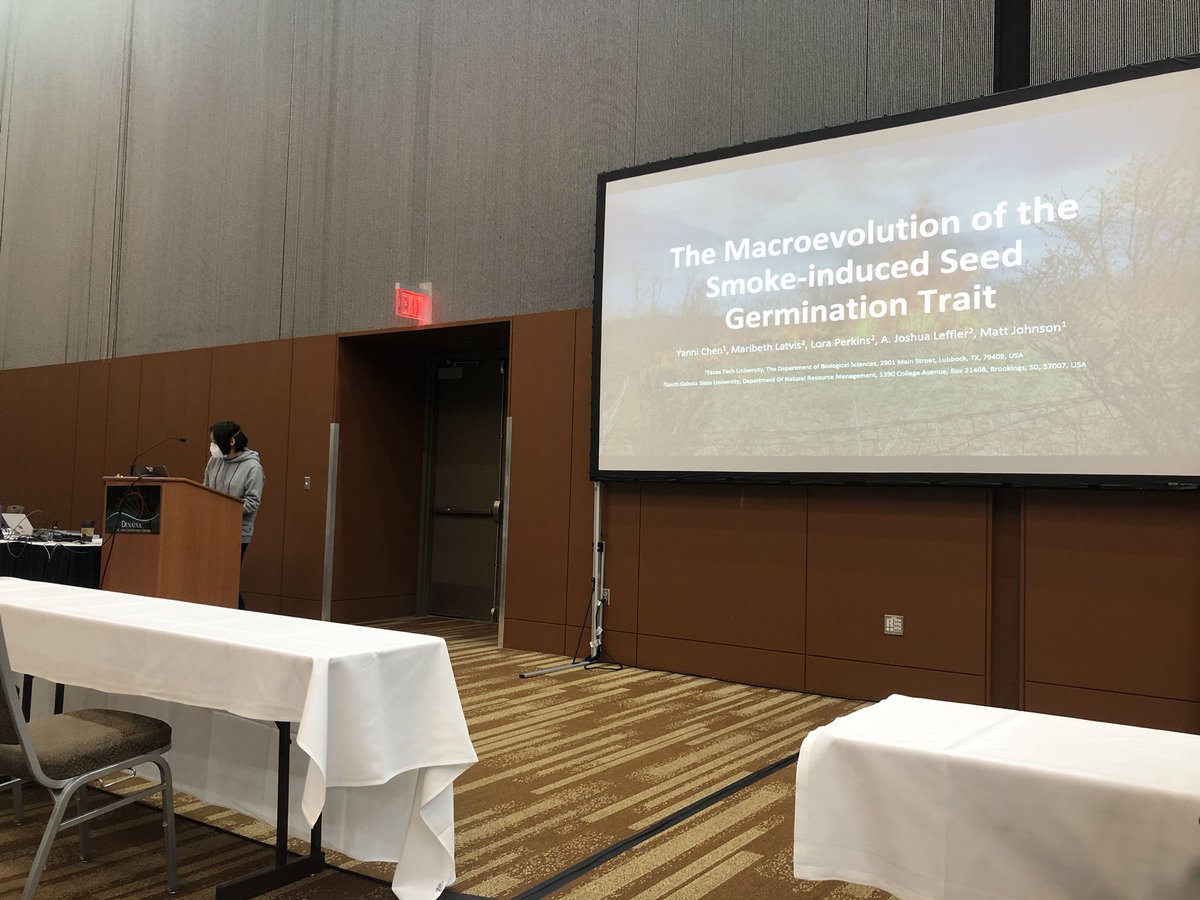 Matt Johnson, PhD (@mossmatters) on Twitter photo PhD Candidate <a href="/chenyanniii/">yanni chen</a> presented her work on the macroevolution of smoke induced seed germination in over 1200 angiosperm species! #Botany2022 PhD Candidate <a href="/chenyanniii/">yanni chen</a> presented her work on the macroevolution of smoke induced seed germination in over 1200 angiosperm species! #Botany2022