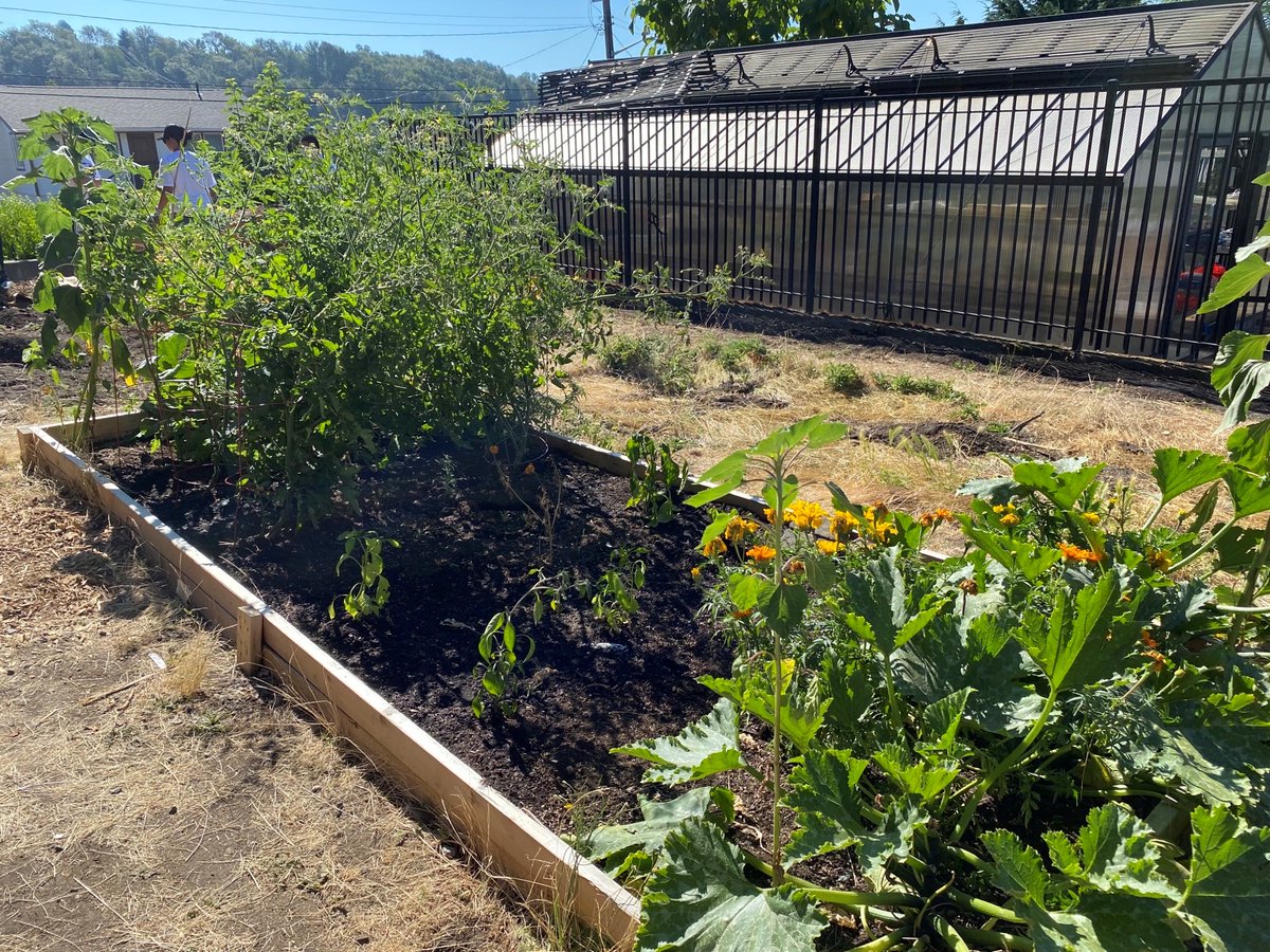 City of Seattle DEEL tweet media