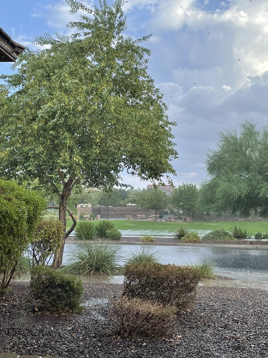 Buckeyes97's tweet photo. Beautiful sight to see in AZ!

#RainRain #DontGoAway #WeNeedYou #ForAnotherDay https://t.co/gqj5fyP3Am