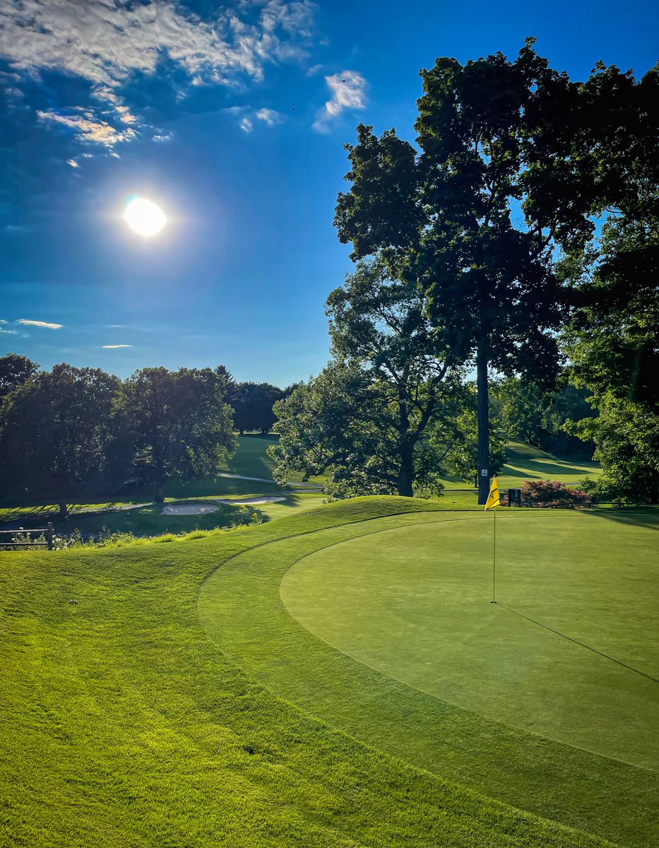 Rene'e C. Polka tweet media