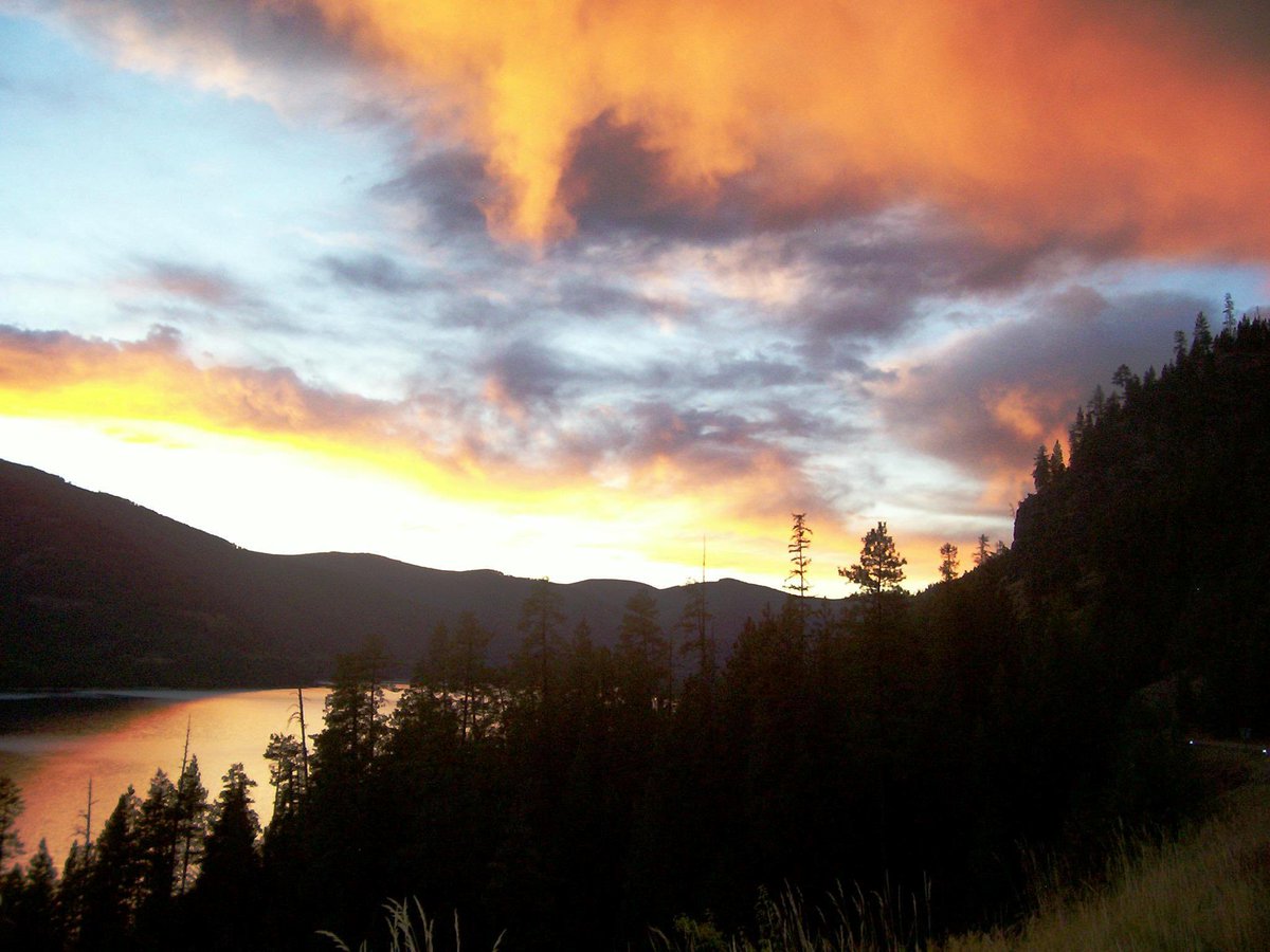 Forest Service NW tweet media