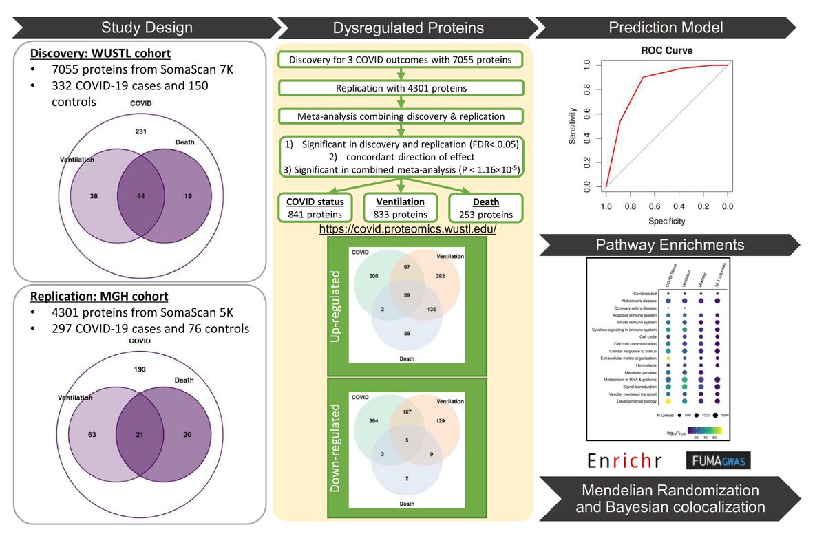 In our latest manuscript we use highthroughput plasma proteomics for COVID to create new prediction models, pathways and druggable targets. medrxiv.org/content/10.110… @Neuro_Genomics @WUSTLmed @WUADRC @HopeHappens4ND #PrecisionMedicine  1/X