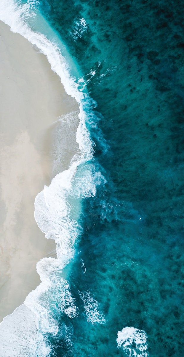 새!새롭! (@saesaelob) on Twitter photo 