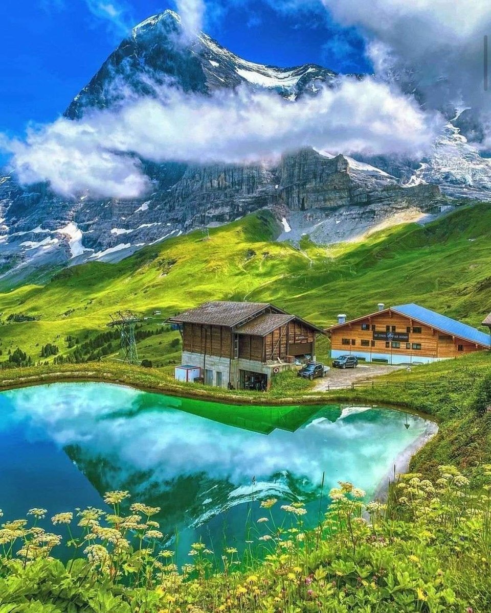 Bernese Oberland, Switzerland 😍

#switzerland #loveswitzerland #lovelyterra  #travelswitzerland #swissalps #swissnature #lovelyterratravels #beautifuldestinations #besttraveldestinations #travel