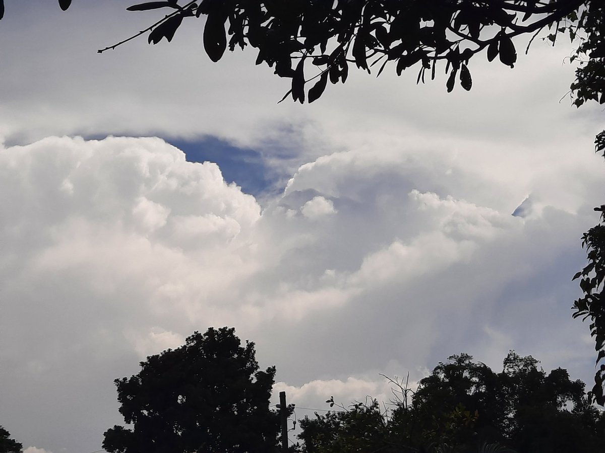 Big #clouds b4💧rain this wk #JaxFL #firstalertwx #nature #ThePhotoHour #StormHour #AJSGArt #ViaAStockADay #photography @luketaplin42 @WizardWeather @JAclouds @cloudymamma @AngelBrise1 @enjoyscooking @mypicworld @WilliamBug4 @tracyfromjax @EarthandClouds2 @PicPoet @AddisSaltyDog