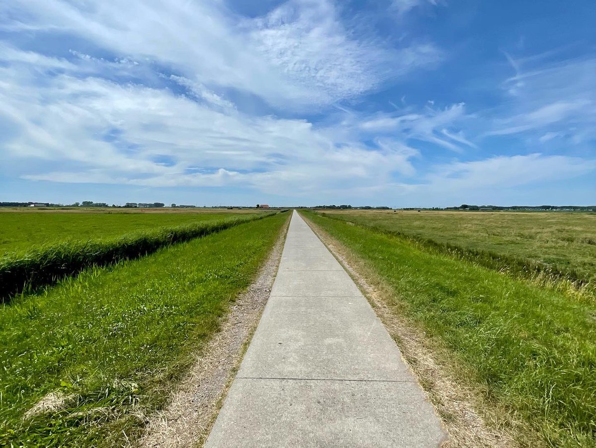 Mooigrunnen's tweet photo. Zó mooi is de provincie Groningen. Harssensbosch bij Adorp.
#mooigrunnen #harssensbosch #adorp https://t.co/HpV78zoJGr