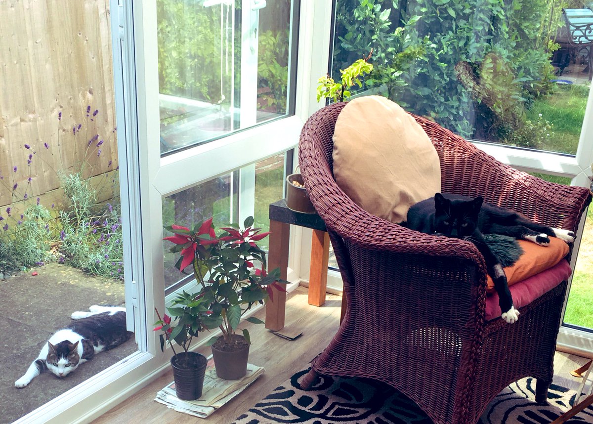 AM / I AM Kimmy (@annemay71755911) on Twitter photo <a href="/Malcolm_theCat/">Malcolm & Baby Dog</a> @wisteriagal81 We have an old friend who likes our place because he lives with 2 toddlers (his cat brother doesn't mind them!!!) - if his owners miss him, they phone to check if he's here or come round to pick him up.... 👍🏻😻🐾 <a href="/Malcolm_theCat/">Malcolm & Baby Dog</a> @wisteriagal81 We have an old friend who likes our place because he lives with 2 toddlers (his cat brother doesn't mind them!!!) - if his owners miss him, they phone to check if he's here or come round to pick him up.... 👍🏻😻🐾