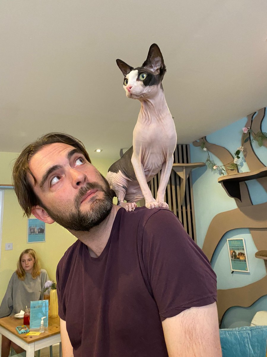 Catsitter Training Camp <a href="/maisondemoggy/">Maison de Moggy</a>
