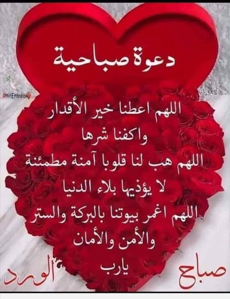 @ali19632000 (@alalfa40146467) on Twitter photo 