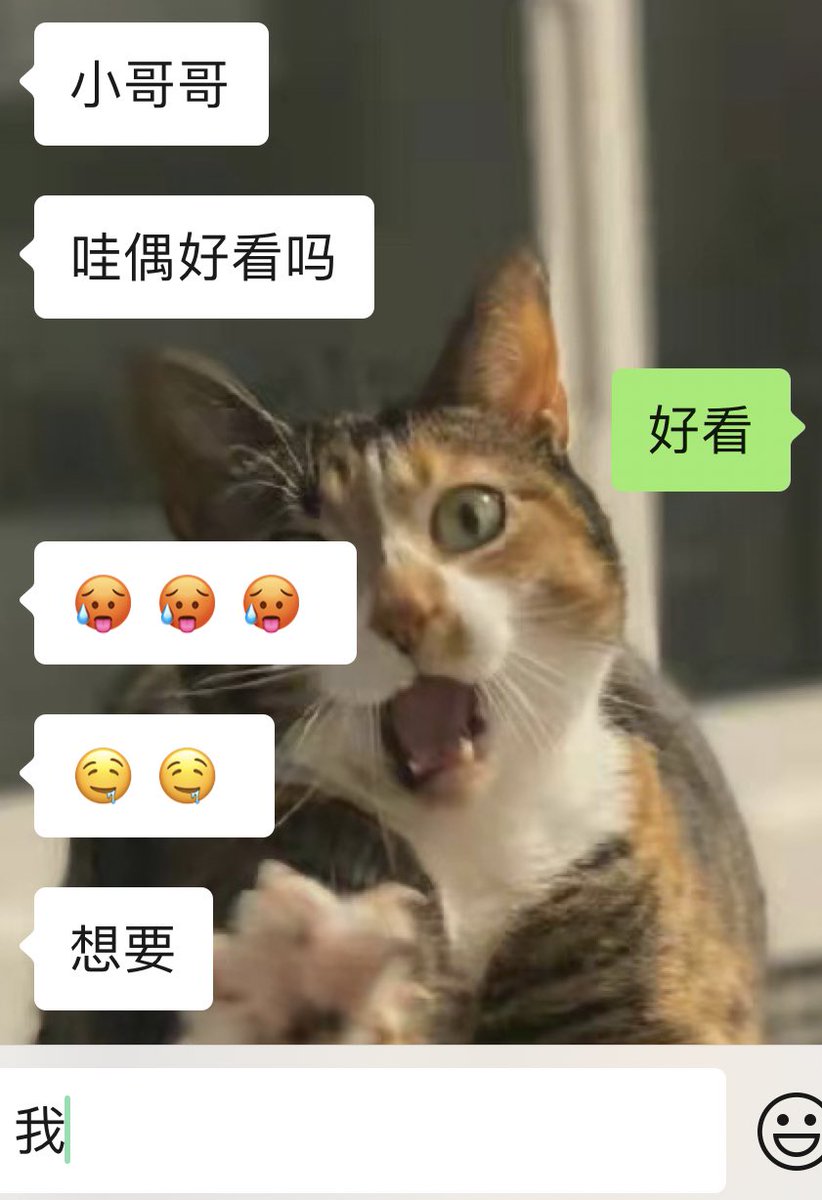 猹 tweet media