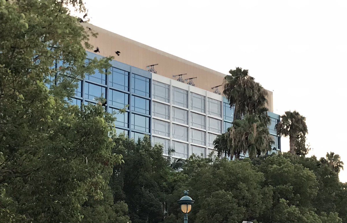MagicAndWalnut's tweet image. A major repainting project has begun on all three of the @Disneyland Hotel towers. It looks like the royal blue and tan color scheme is being replaced with a sky blue and off-white color scheme — perhaps to better complement the new DVC tower under construction?