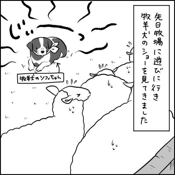 数年越しに…!!!

#育児絵日記 #育児漫画 #子育て絵日記 #子育て漫画 