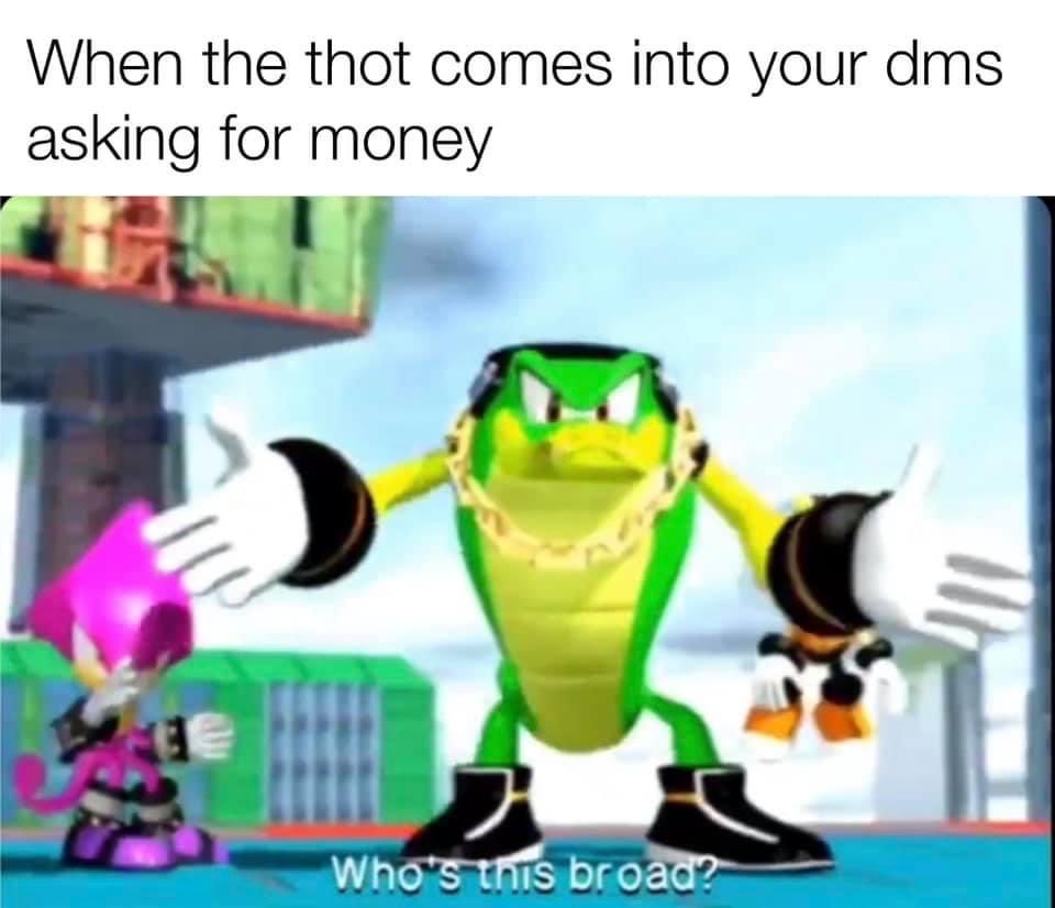 4he_apprentice's tweet image. A "broad" can be used to describe a woman who is has many short-term sexual partners, typically used in a negative fashion.

Vector effectively calls Rouge a whore in Rated-E speak.