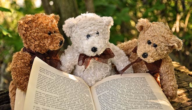 Please join us tomorrow evening, Wednesday, July 27th at 7:00 p.m. for a Teddy Bear Picnic and read aloud!  Bring your favorite teddy bear, or person to the Town Park near the bandstand to hear a story that you and your teddy bear will love! #MPSloveliteracy @MilfordSchools
