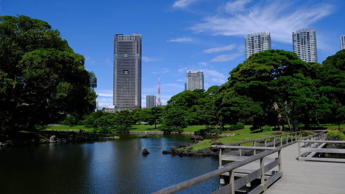 こんにちは 浜離宮恩賜庭園 です 昨日の雨とは打って変わって青空のお天気になりました 日差しも強いです 暑くて外に出たくない そんな皆様へ 緑滴る 夏の庭園の様子をお届けいたします ご来園の際は 園内のどこの風景かぜひ確かめてみてくださいね こんにちは 浜離宮恩賜庭園 です 昨日の雨とは打って変わって青空のお天気になりました 日差しも強いです 暑くて外に出たくない そんな皆様へ 緑滴る 夏の庭園の様子をお届けいたします ご来園の際は 園内のどこの風景かぜひ確かめてみてくださいね