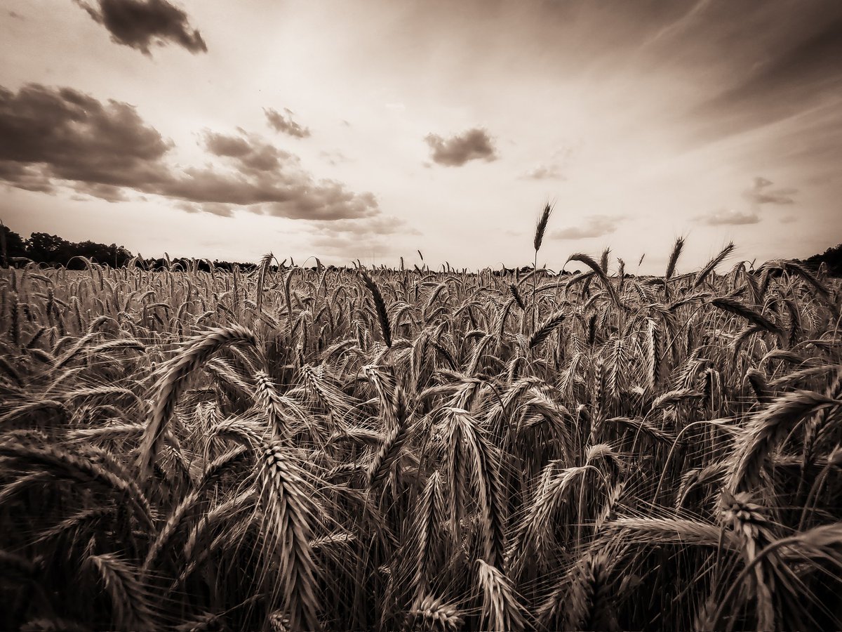 Let me know what ya think of this photo
#photography #photo #photographylovers