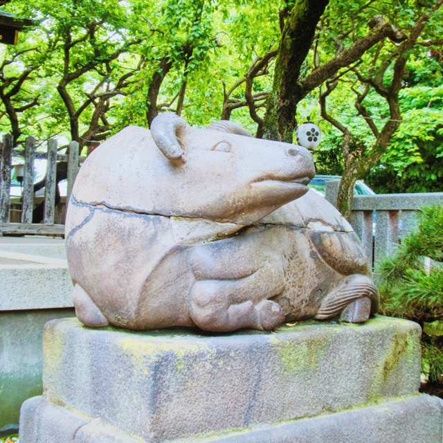 japan50032175's tweet photo. 天神様には「撫で牛」が置かれていることが多いですが、牛天神北野神社の撫で牛は自然石の「ねがい牛」。神社の公式サイトによると、源頼朝公が此の地に休まれたとき、ここにあった牛に似た石を御神体とされ、大宰府天満宮より御魂を勧請されたと伝えられているのだとか。立派な狛牛も印象的。 https://t.co/G0yhRpqeqo