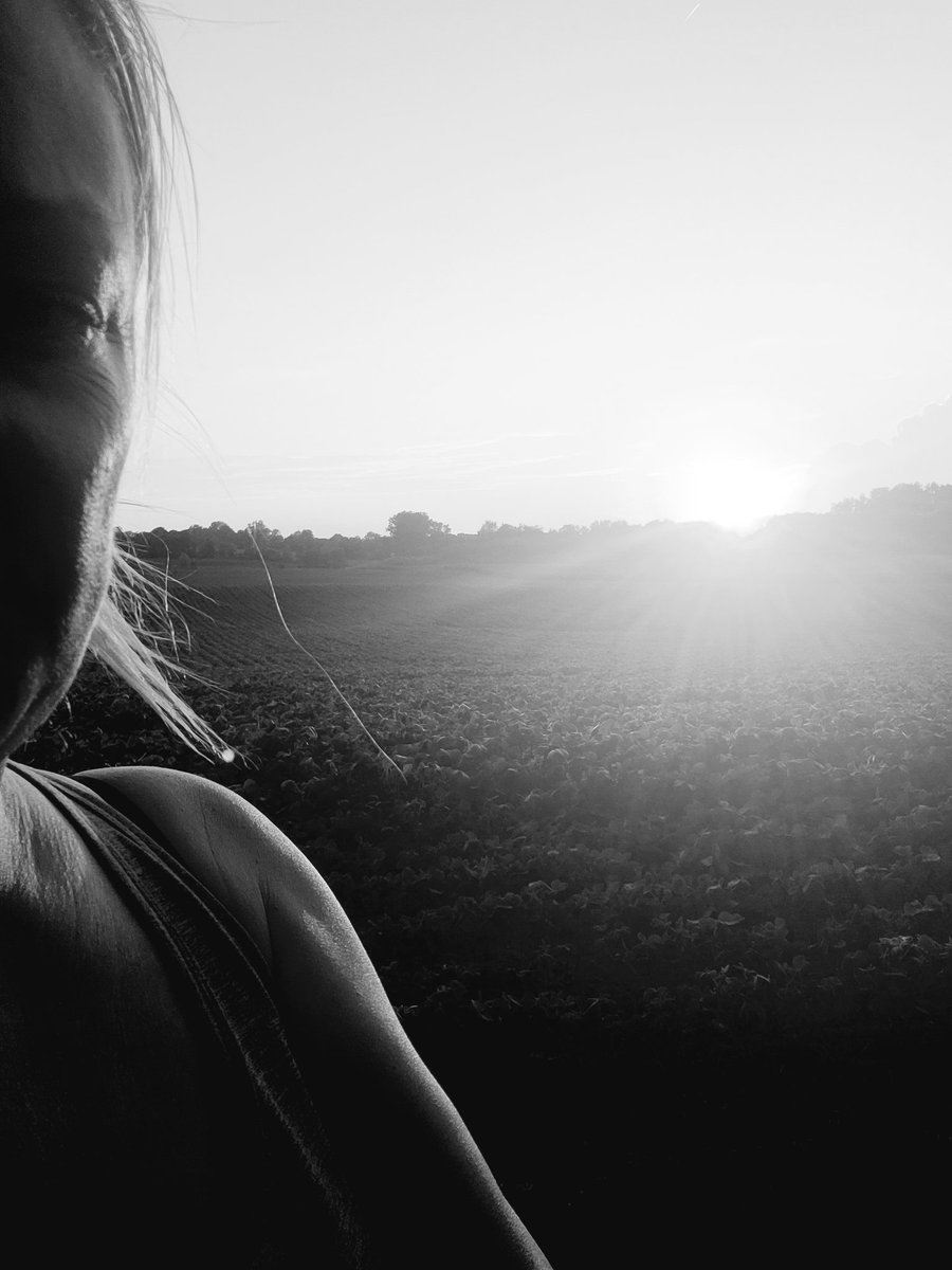 Bluebird 🐦 🍋 🎰 👛 tweet media