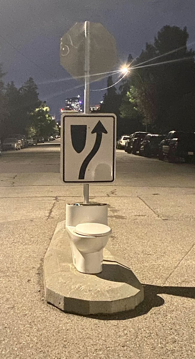 Dr. Steph (Stephanie Cooper MD- ObGyn/ Mfm) tweet media