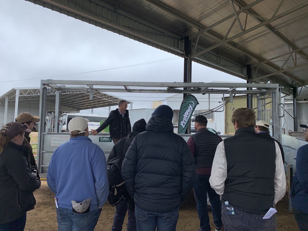 RiverinePlains's tweet image. The @ProWay2000 Bulk Sheep Handler got plenty of attention during our second Innovation EXPO Farm Tour stop at Howlong! Thanks to Steve Butt for the demonstration 🐑🐑