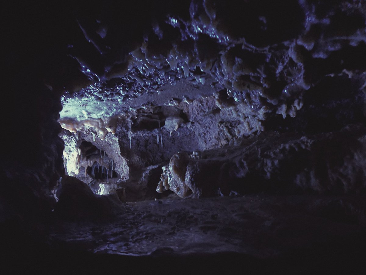 鍾乳洞行ってきた Yo Fujiiのイラスト