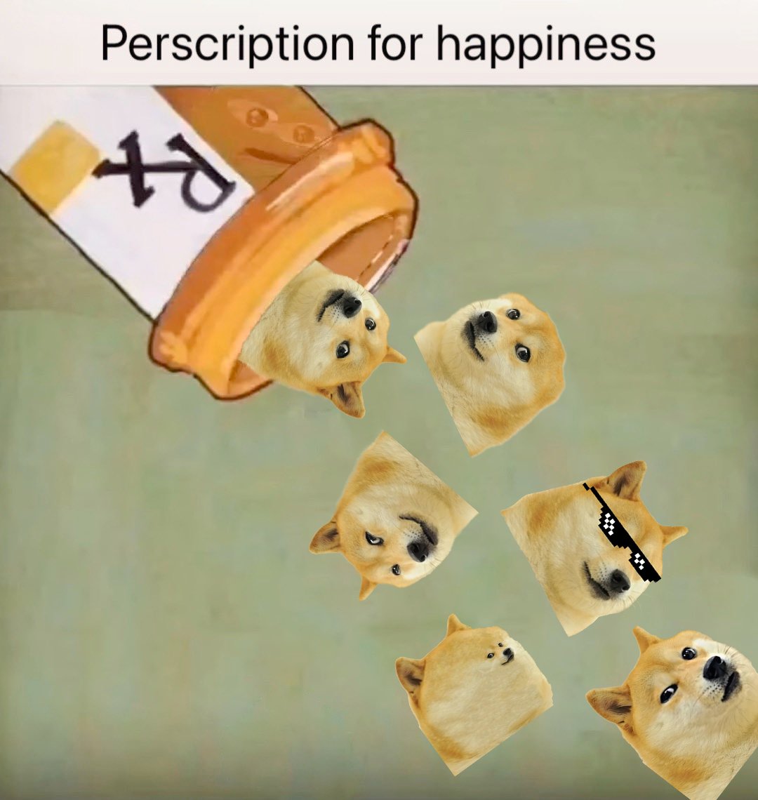 ownthedoge's tweet photo. gotta get my daily dose of #doge https://t.co/3OzBpiGy1s