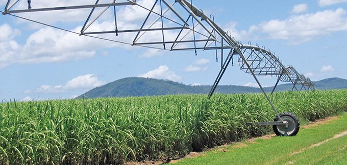 Agrinsiderhq's tweet photo. The Kingdom of Eswatini is Africa's largest producer of sugar, followed by Egypt and Zambia. https://t.co/zKadRAyXnC