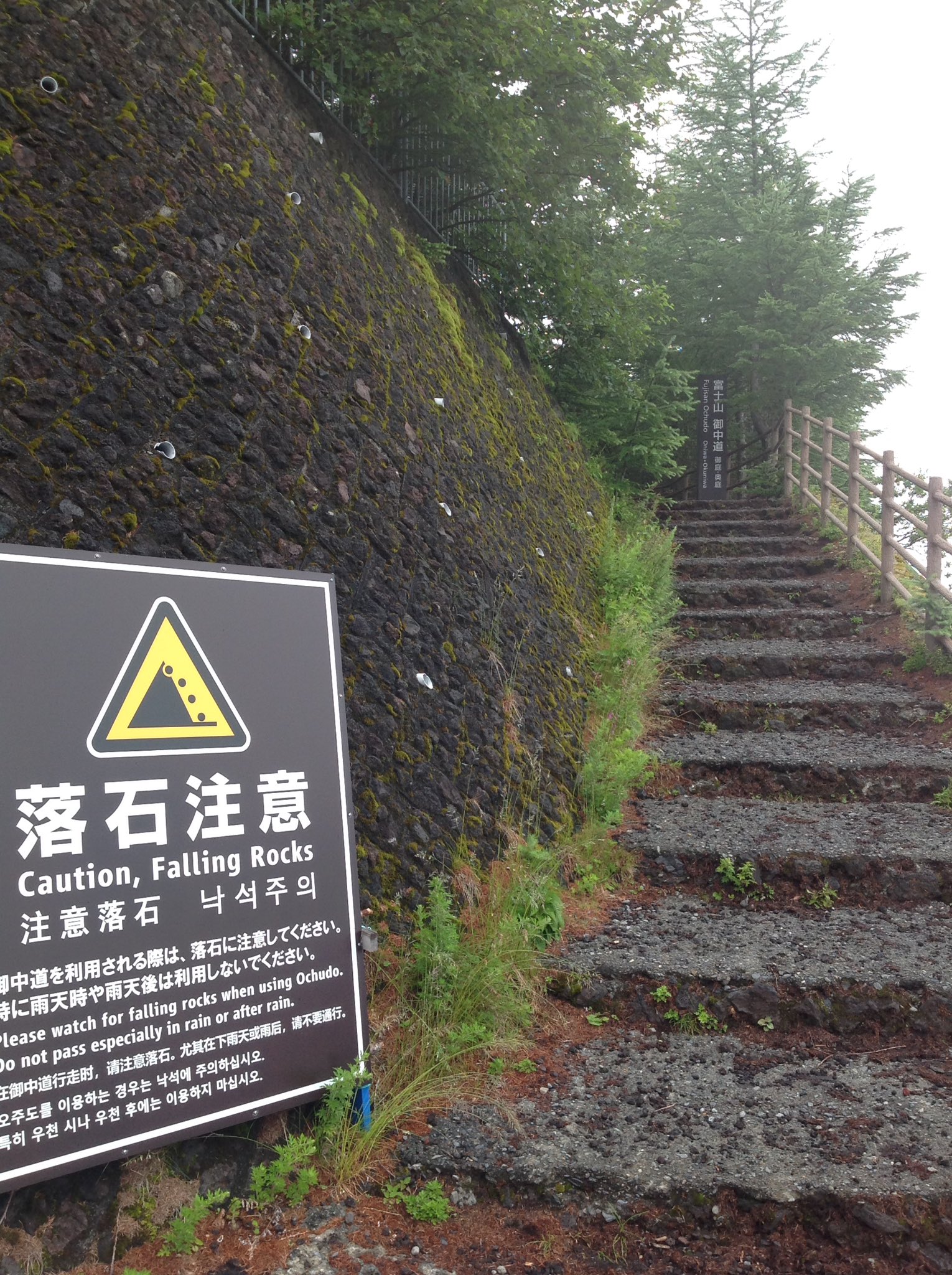 山梨県富士山五合目総合管理センター 五合目観光にいらしたら ぜひお中道へ 可愛い草花を観察してみませんか T Co 9x3pcg1ojw Twitter