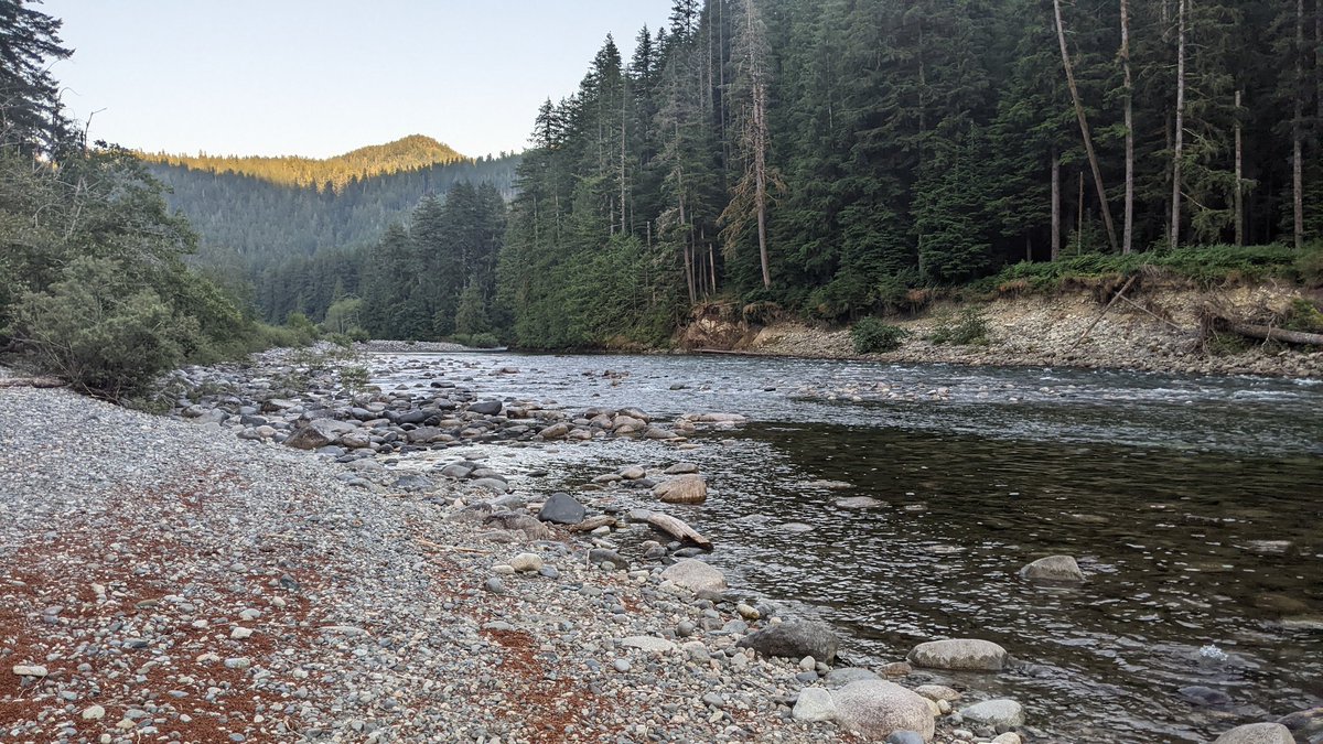 riverflow2022's tweet photo. Reminder that Master Class applications for River Flow 2022 will be accepted until July 31st.  Don't miss this great opportunity.  If you don't have proof of enrollment send it in anyway. #iahr #rf2022 #rivers Meanwhile... Gold River BC! https://t.co/FJha0UUEbX