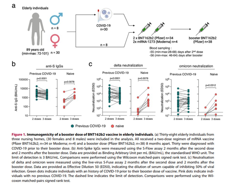 eClinicalMedicine The Lancet Discovery Science on Twitter "📢Neutralising antibody responses