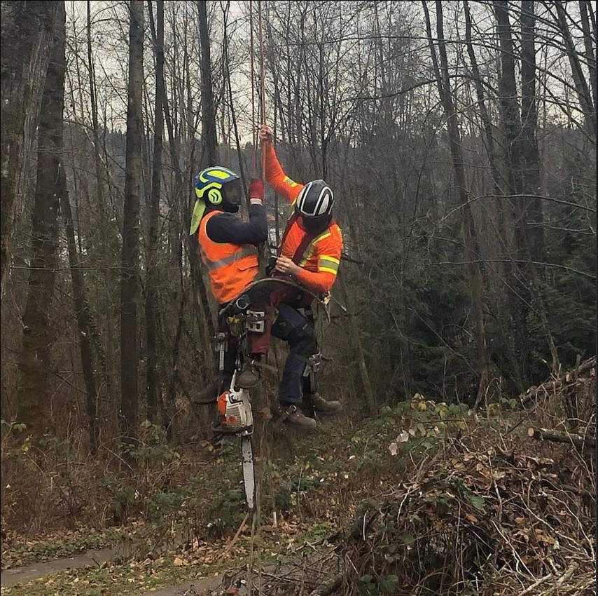 Follow her/his instagram for more post
#logger #logging #treecutting #arboristVia @asspaintreeplunderers
