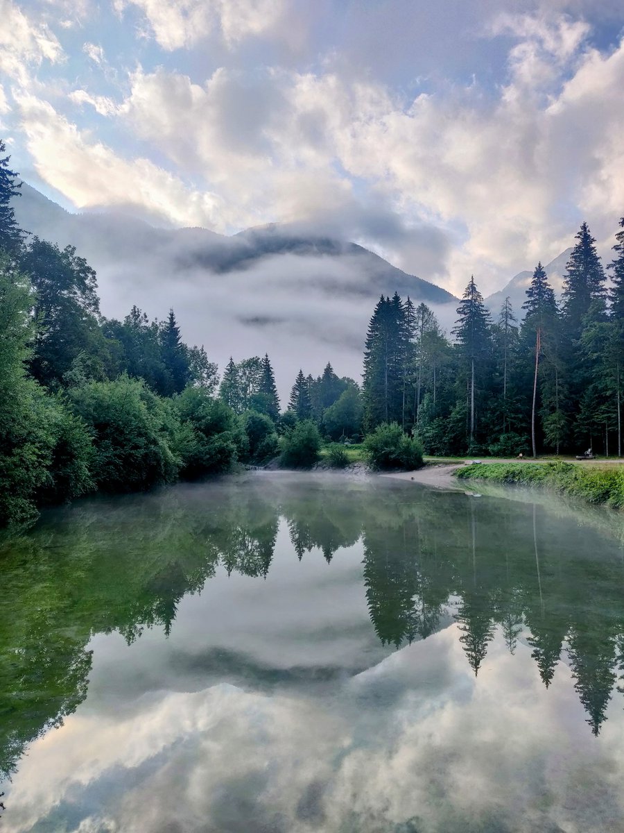 papsl's tweet photo. Jutro po dežju #utrinki https://t.co/1UeOascTRN