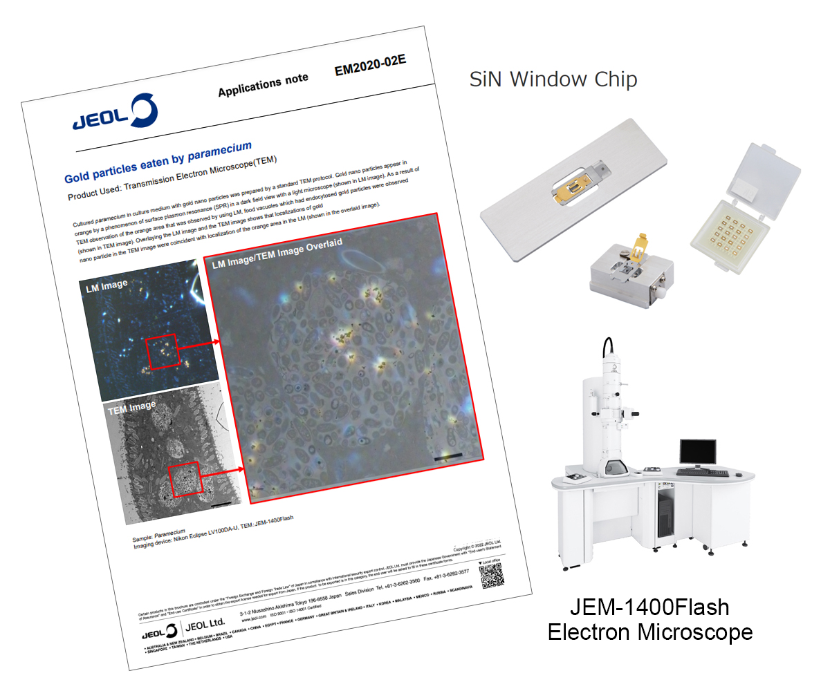 JEOL_Japan's tweet image. #Application_note
Gold particles eaten by paramecium  (EM2020-02E)
Please read from here:
jeol.co.jp/en/application…
#JEOL #surface_plasmon_resonance  #paramecium #TEM #CLEM