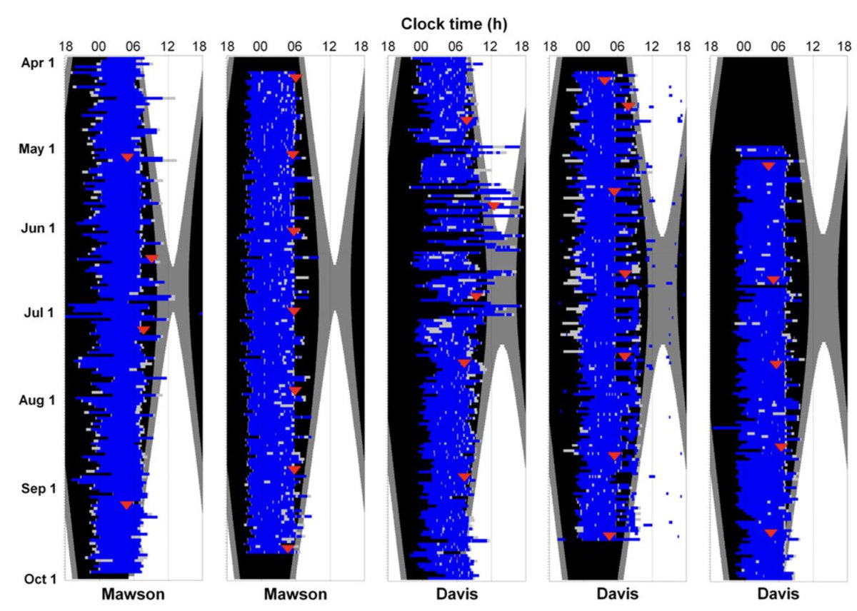 Tracey Sletten (@tracey_sletten) on Twitter photo Our comprehensive study of circadian phase during the Antarctic winter is published! Read about the impacts for sleep, performance and psychological health during Antarctic, space and other long-duration missions.
<a href="/jeffayton/">Jeff Ayton</a> <a href="/smwrajaratnam/">Shantha Rajaratnam</a> <a href="/Circadian100/">Dave Kennaway</a>
onlinelibrary.wiley.com/doi/10.1111/jp⦠Our comprehensive study of circadian phase during the Antarctic winter is published! Read about the impacts for sleep, performance and psychological health during Antarctic, space and other long-duration missions.
<a href="/jeffayton/">Jeff Ayton</a> <a href="/smwrajaratnam/">Shantha Rajaratnam</a> <a href="/Circadian100/">Dave Kennaway</a>
onlinelibrary.wiley.com/doi/10.1111/jpā¦